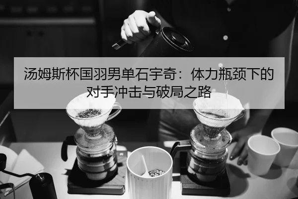 tang-mu-si-bei-guo-yu-nan-dan-shi-yu-qi-ti-li-ping-jing-xia-de-dui-shou-chong-ji-yu-po-ju-zhi-lu-2-653.jpg