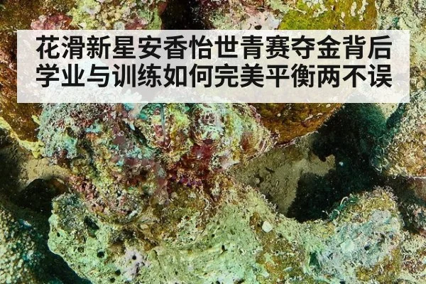 花滑新星安香怡世青赛夺金背后学业与训练如何完美平衡两不误