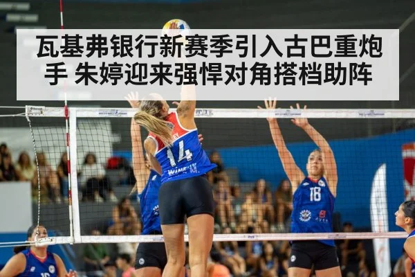 female volleyball player