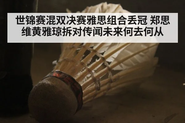 世锦赛混双决赛雅思组合丢冠 郑思维黄雅琼拆对传闻未来何去何从