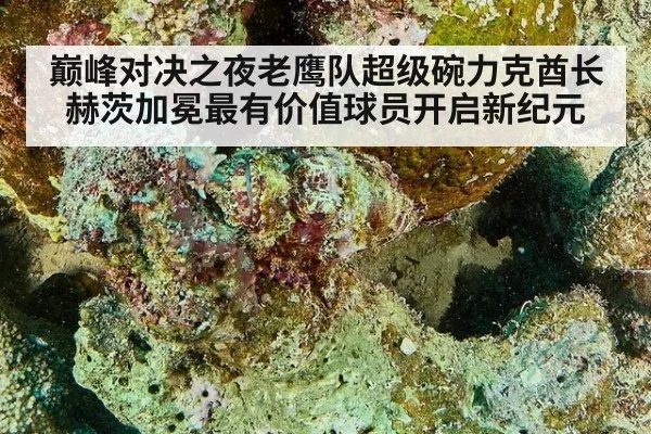 巅峰对决之夜老鹰队超级碗力克酋长 赫茨加冕最有价值球员开启新纪元