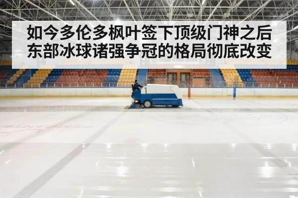 如今多伦多枫叶签下顶级门神之后 东部冰球诸强争冠的格局彻底改变