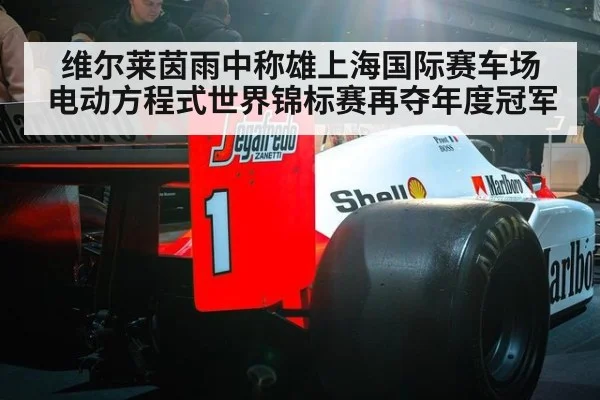 维尔莱茵雨中称雄上海国际赛车场 电动方程式世界锦标赛再夺年度冠军