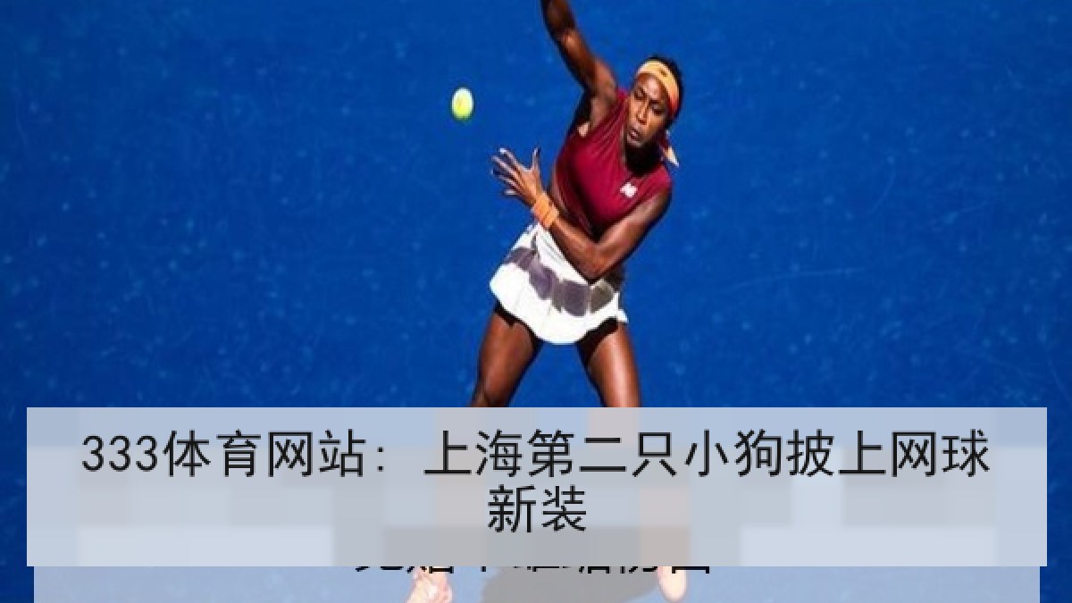 333体育网站: 上海第二只小狗披上网球新装