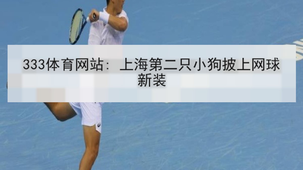 333体育网站: 上海第二只小狗披上网球新装